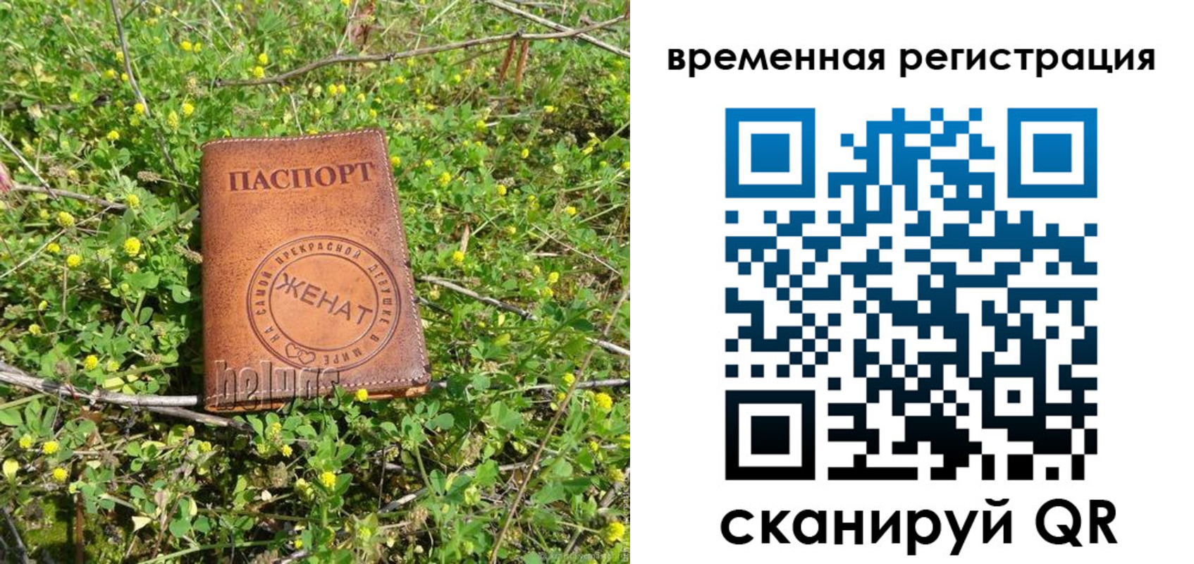 прописка регистрация в Мариинском Посаде